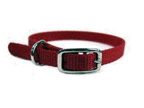 - Single Thick Nylon Dog Collar- Red .38 X 12 - Ste 12rd