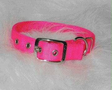 - Double Thick Nylon Dog Collar- Hot Pink 1 X 22 - Dd 22hp