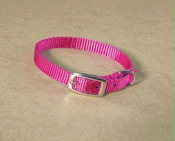 Single Thick Nylon Dog Collar- Hot Pink .38 X 12 - Ste 12hp