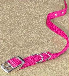 - Single Thick Nylon Dog Collar- Hot Pink .63 X 14 - St 14hp