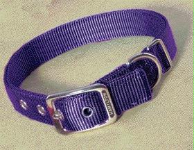 Double Thick Nylon Dog Collar- Hot Purple 1 X 20 - Dd 20pu
