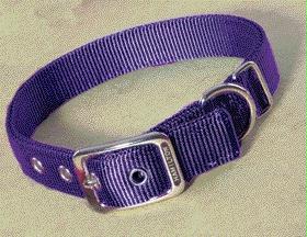 Double Thick Nylon Dog Collar- Hot Purple 1 X 26 - Dd 26pu