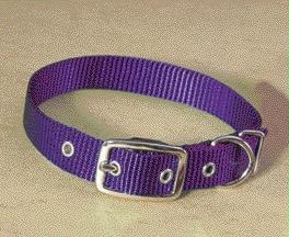Single Thick Nylon Dog Collar- Hot Purple .63 X 14 - St 14pu