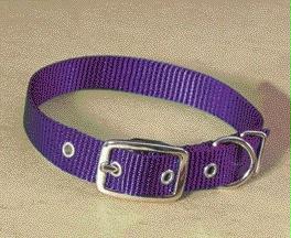 - Single Thick Nylon Dog Collar- Hot Purple .63 X 16 - St 16pu