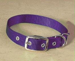 - Single Thick Nylon Dog Collar- Hot Purple .63 X 18 - St 18pu