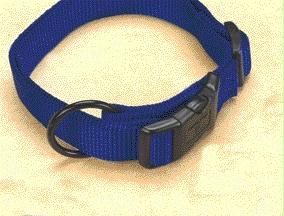 - Adjustable Dog Collar- Blue .75 X 16-22 - Fam 16-22 Bl