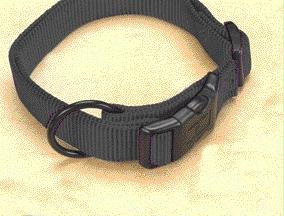- Adjustable Dog Collar- Black .75 X 16-22 - Fam 16-22bk