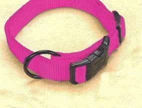 - Adjustable Dog Collar- Hot Pink .75 X 16-22 - Fam 16-22 Hp
