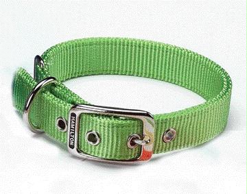 Double Thick Nylon Dog Collar- Lime 1 X 22 - Dd 22li