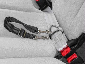- Adjustable Seat Leash With Snp 1 Inch - Sla Lgbk