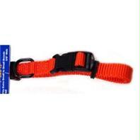 Adjustable Dog Collar- Mango .38 X 7-12 - Fae 7-12 Ma