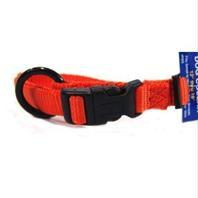 Adjustable Dog Collar- Mango .63 X 12-18 - Fas 12-18 Ma