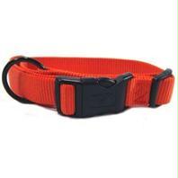 - Adjustable Dog Collar- Mango 1 X 18-26 - Fal 18-26 Ma