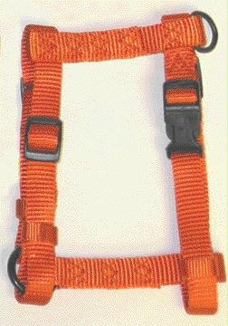 Adjustable Dog Harness- Mango .63 X 12-20 - Cfa Smma
