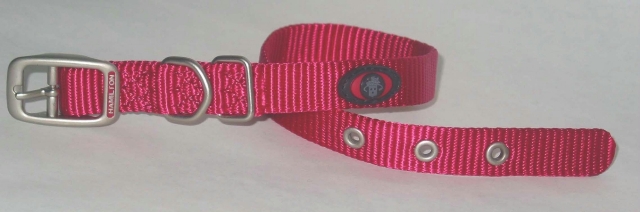 - Single Thick Nylon Dog Collar- Pink .63 X 14 - B St 14rs