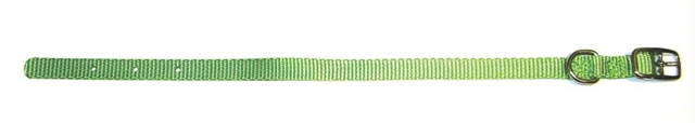 - Single Thick Nylon Dog Collar- Lime .38 X 12 - Ste 12li