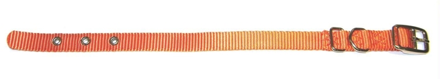 Single Thick Nylon Dog Collar- Mango .63 X 14 - St 14ma