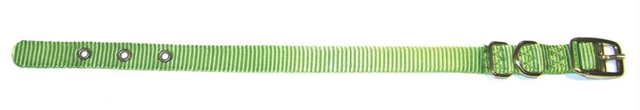 Single Thick Nylon Dog Collar- Lime .63 X 14 - St 14li