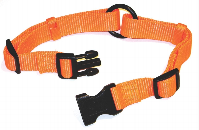 - Adj Saferite Dog Collar- Orange 1 X 18-26 - Fals 18-26 Or