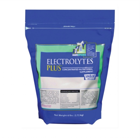 Milk Products,inc Electrolytes Plus Bag 6 Poun01-7408-0216