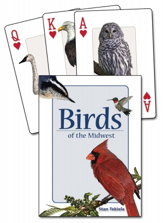 Ap32857 Birds Of The Midwest Playing Cards