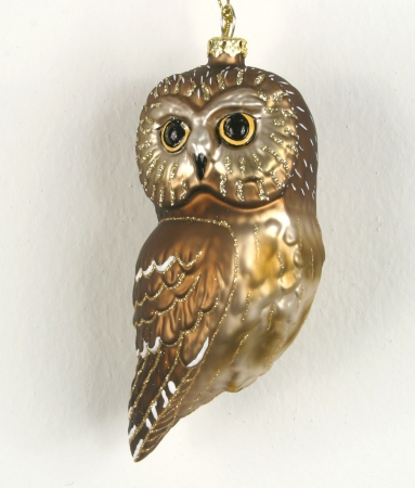 Cobaned395 Northern Saw Whet Owl