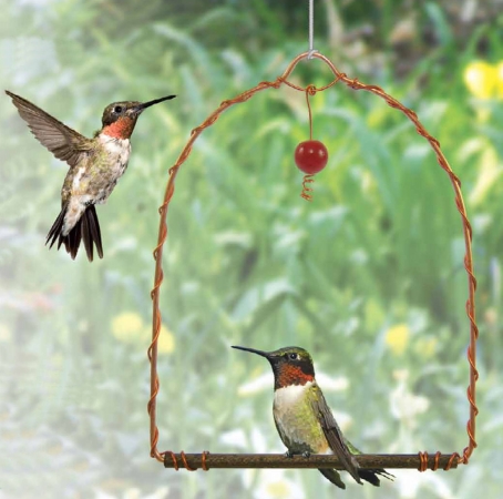Sehhhums Copper Hummingbird Swing