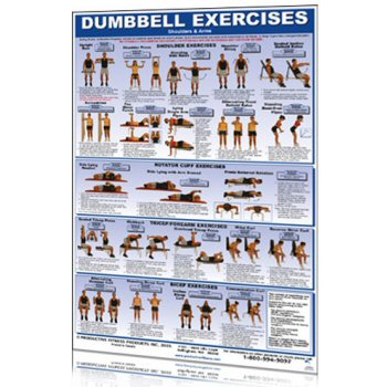 Dumbbell Chart Pdf