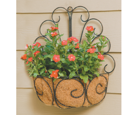 Deer Park D68 Wb107x Metal Peacock Wall Basket With Coco Liner