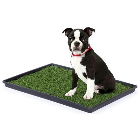 Pp-500 Tinkle Turf - Small