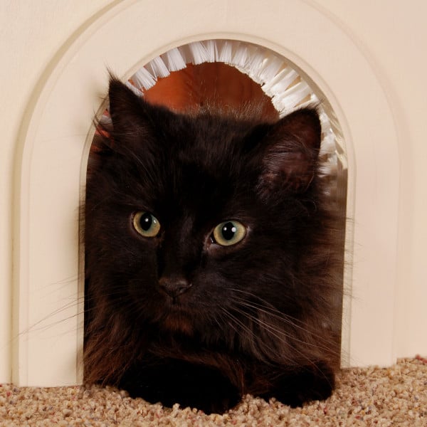 Pet Door For Cats With Removeable Brush - Chwm