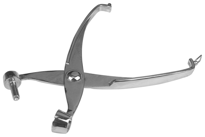 5240 Cherry & Olive Pitter