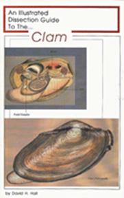 13790 Dissection Guide To The Clam