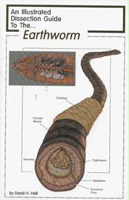 13791 Dissection Guide To The Earthworm