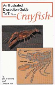 13792 Dissection Guide To The Crayfish