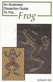 13796 Dissection Guide To The Frog
