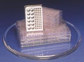13915 Microplates - Small Wells - Pack Of 6