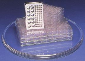 13916 Microplates - Large Wells - Pack Of 6