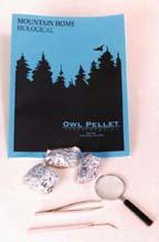 14047 Student Owl Pellet Kit