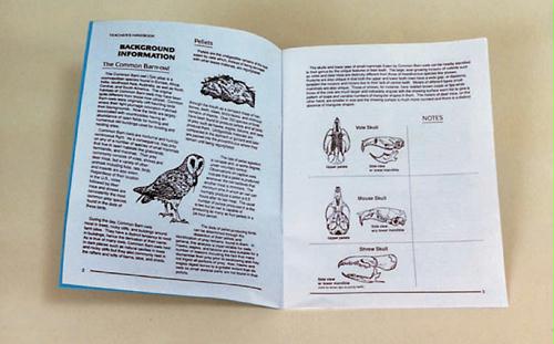 14048 Owl Pellet Teachers Manual