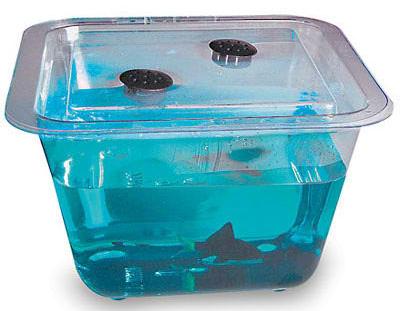 14516 .5 Gal. Flex-tank With Cover - 5.38 In. X 7 In. X 3.75 In.