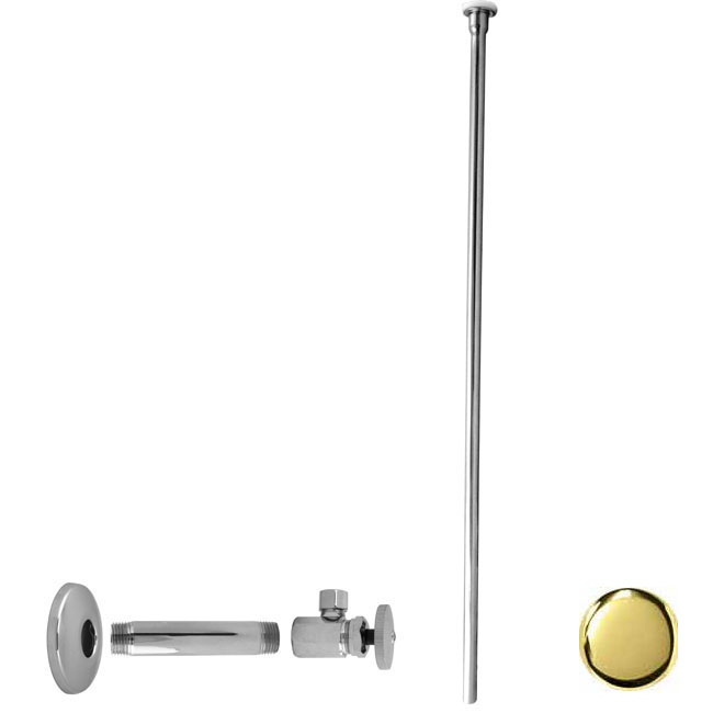 D103kfh-01 .5 In. Ips X .38 In. Flat Head Riser Toilet Kit - Round - Pvd Polished Brass