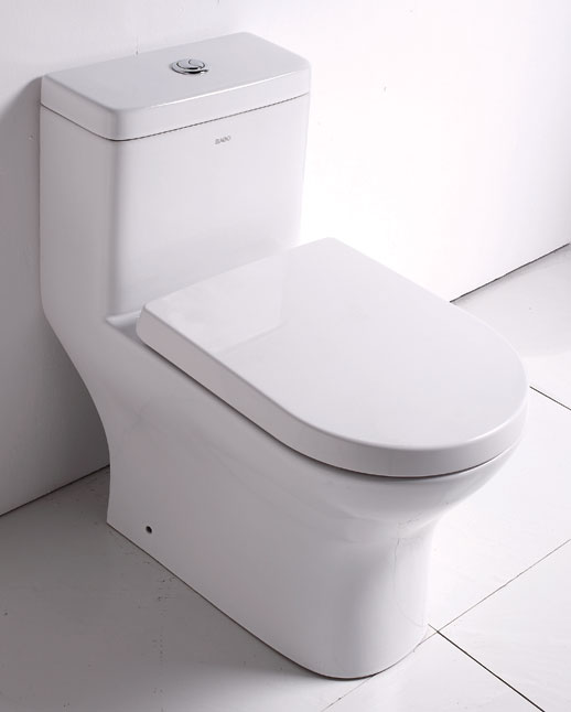 Tb353 Dual Flush One Piece Eco-friendly Ceramic Toilet - White