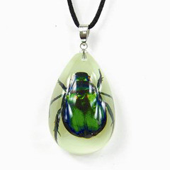 Yd1105 Necklace Glow In The Dark Teardrop Shape Chafer Beetle