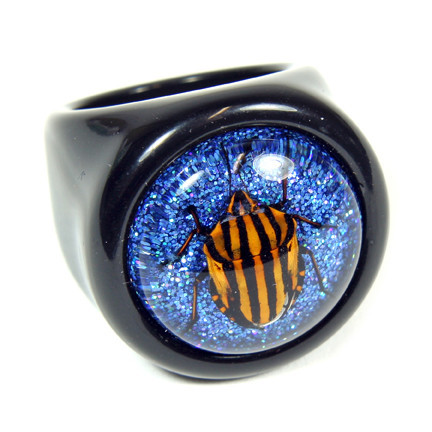 R0015-6 Ring Striped Sheild Bug Black Ring With Shiny Blue Back Size 6