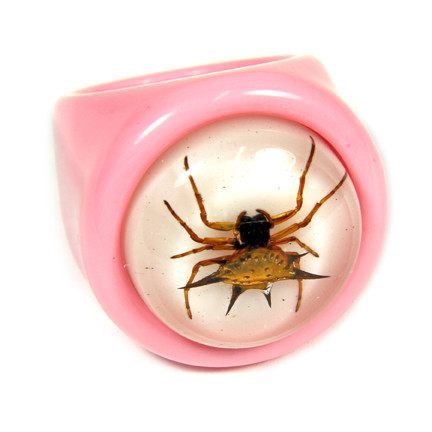 R0025-6 Ring Spiny Spider Pink With White Background Size 6
