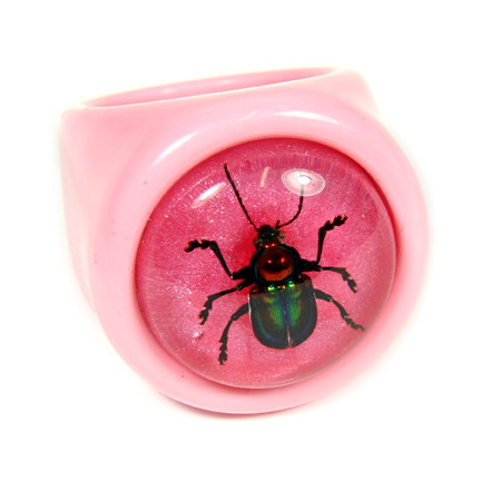 R0026-6 Ring Shiny Beetle Pnk With Pink Background Size 6