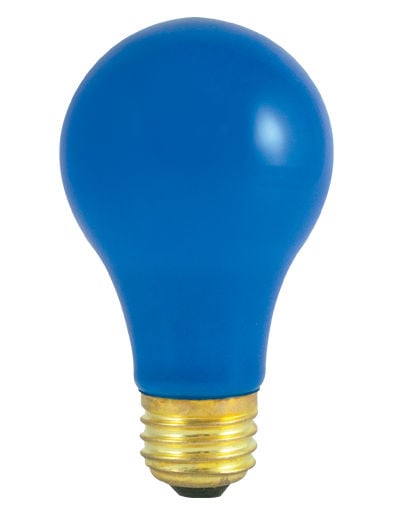 40-watt Incandescent Standard A19, Medium Base, Ceramic Blue - Pack Of 24