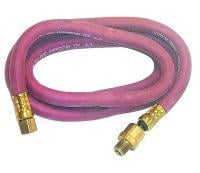 Mtn6260 60 In. 1/4 In. Id X 1/4 In. Npt M X F Whip Hose