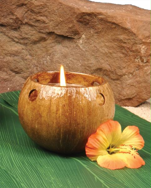 Ff860021 Coconut Tealight Candle Holder